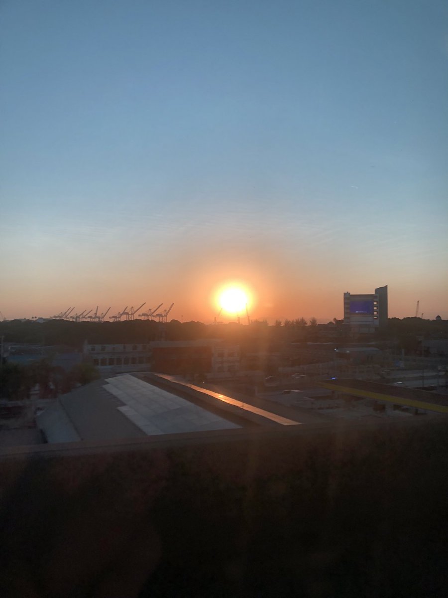 ConsistencyCode's tweet image. Did you get your morning movement, sunlight and hydration in today??
