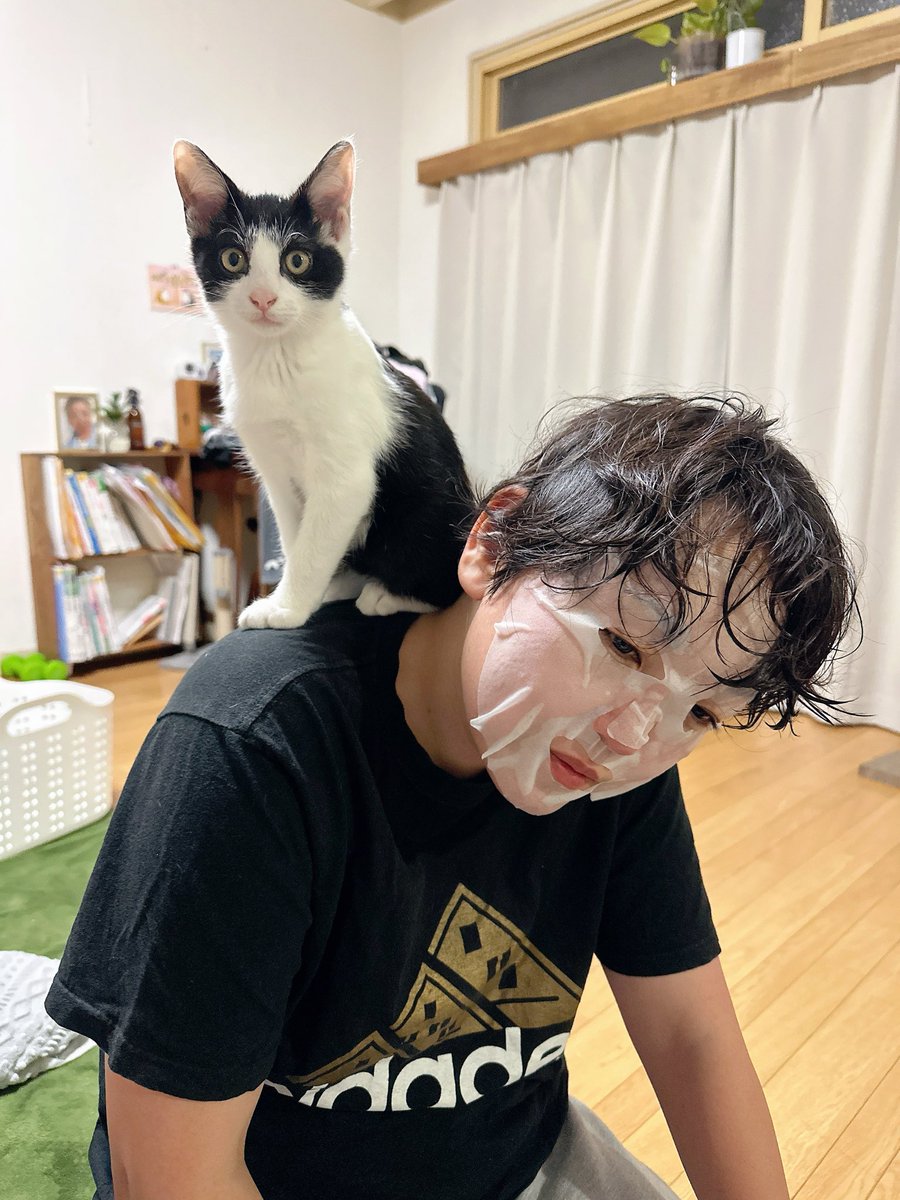 もじもじこです moji mojico (@moji_mojico) / Posts / X