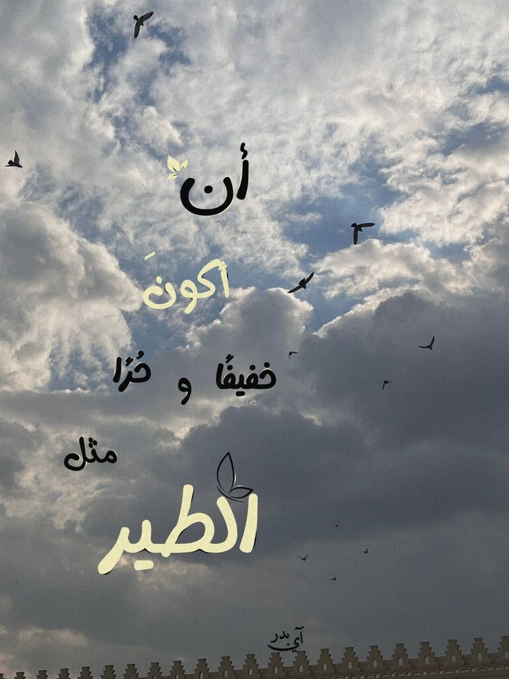 Hady gmal tweet media