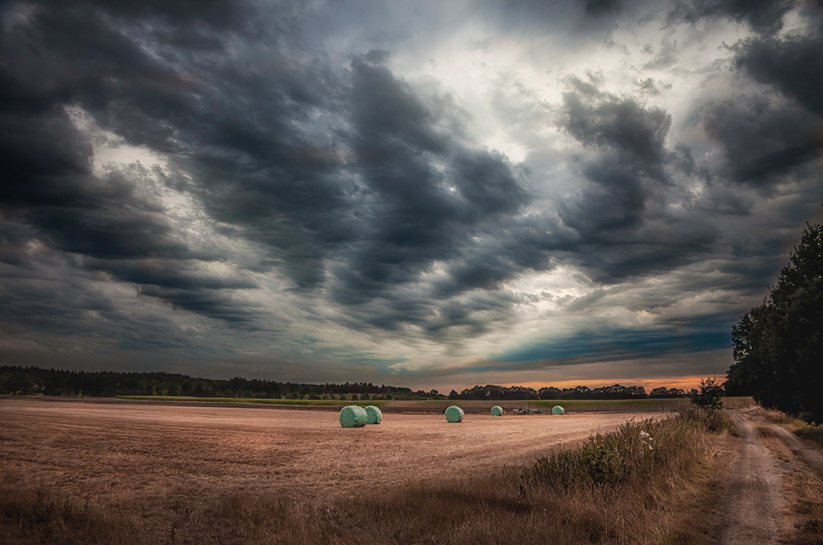 Dorfphotograph (@dorfphotograph) on Twitter photo 