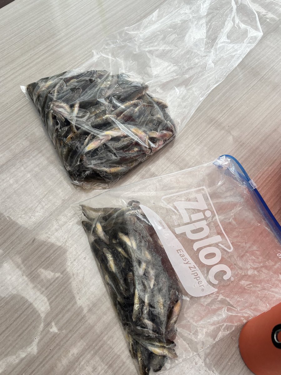 その他 MitsuSakakibara:CloudsInTheWater Buy atmos x Cloudmonster Void 'Yozakura' - 3MF11044208 | GOAT CA