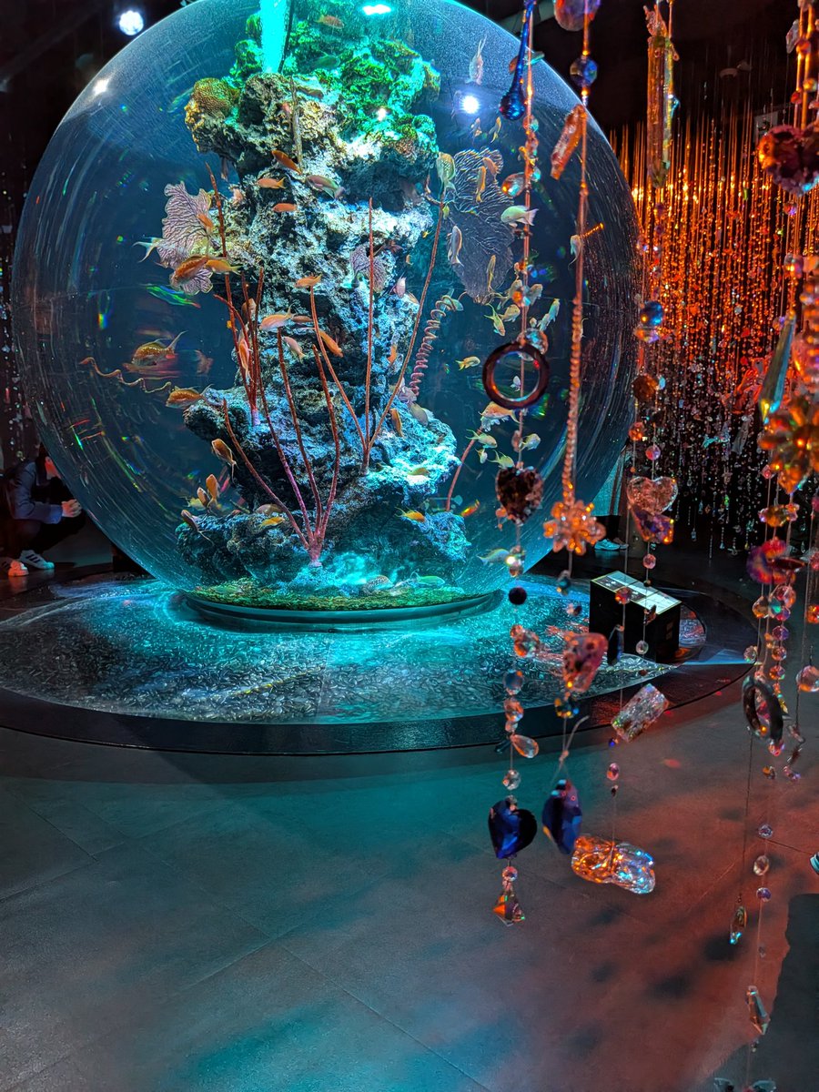 mastermaster88's tweet image. アトア楽しかった(≧∇≦)