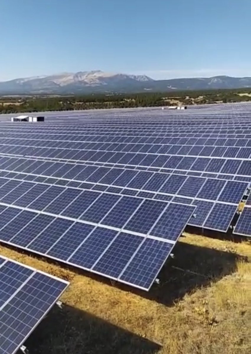 Ben Mert, bu da benim sanatım.