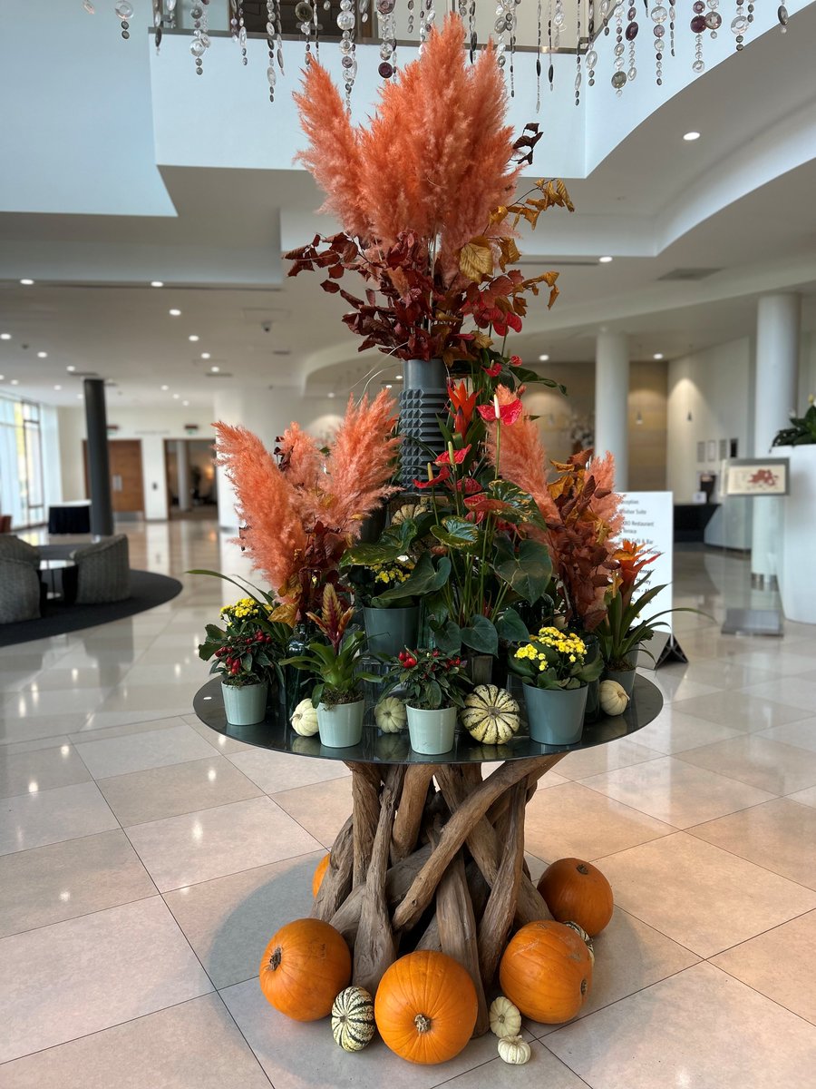 Spooky season has arrived at Hilton Reading! 🍂🎃

Our lobby is dressed for Halloween with autumnal blooms, pumpkins, and a touch of seasonal magic. 🍁✨ 

#HiltonReading #HalloweenAtHilton #AutumnVibes #PumpkinSeason #SpookySeason #HotelDecor #FallAtHilton #ReadingUK”