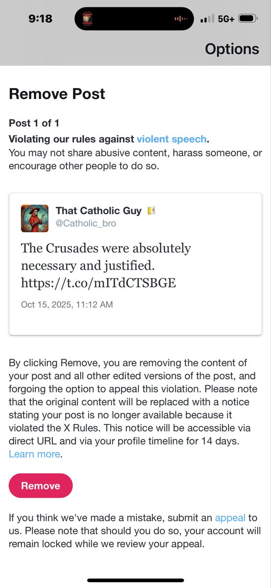 That Catholic Guy 🇻🇦 tweet media