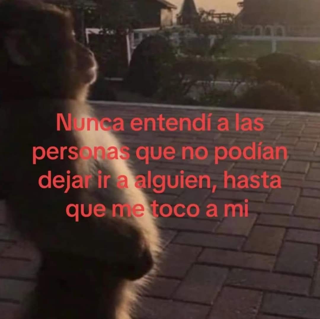 En Júpiter (@en_jupiter_) on Twitter photo 