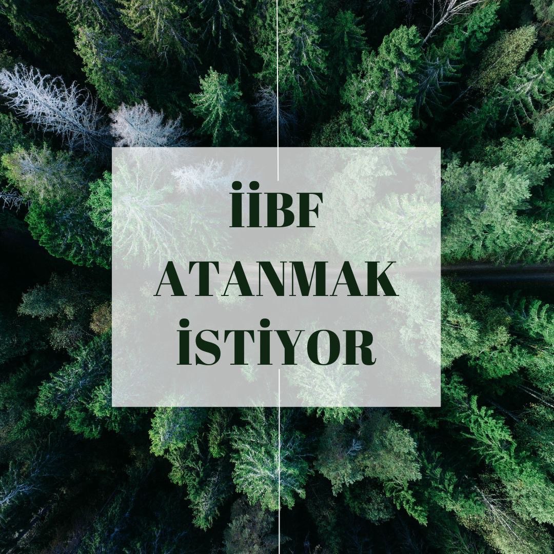 <a href="/burakdemiralptr/">Burak Demiralp</a> <a href="/RTErdogan/">Recep Tayyip Erdoğan</a> İİBF mezunları olarak, Bakanlığınızın GİH kadrolarında istihdam edilmek istiyoruz. Taleplerimizi dikkate almanızı rica ediyoruz.
<a href="/bsinangul/">Bedri Sinan GÜL</a> <a href="/yalperenayar/">Yusuf Alperen AYAR</a> <a href="/mucahitdmrts/">Mücahit Demirtaş</a> <a href="/hasansuvertr/">Hasan Suver</a> <a href="/murat_kurum/">Murat KURUM</a> <a href="/burakdemiralptr/">Burak Demiralp</a>