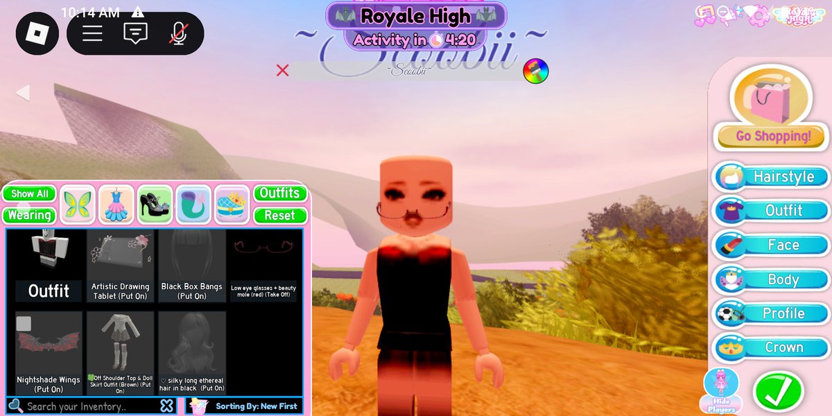 MarkGrass8's tweet photo. Anyone screen showing this? No clue why it's blurry. If anyone knows how to fix it plz lmk. It hurts my eyes.

#royalehigh #royalehighart #Rh #Royalehightrading https://t.co/MauUqNYxEP