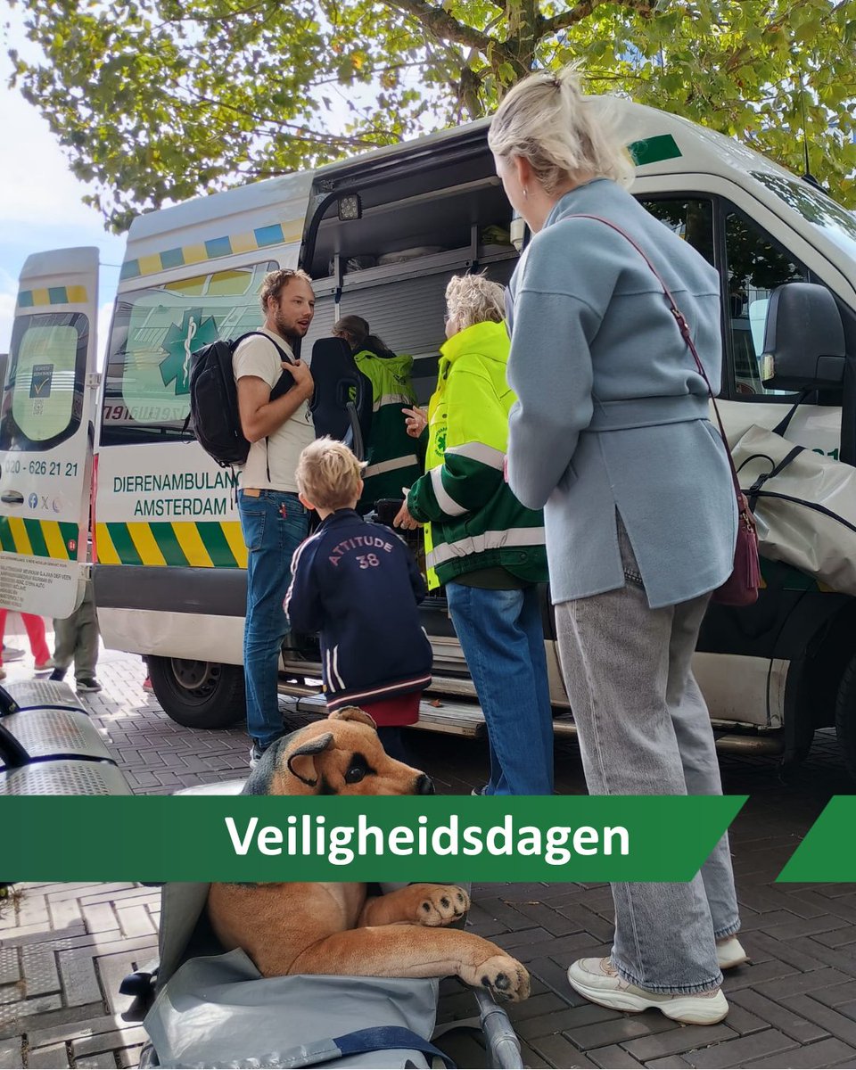 🚑 Wist je dat wij ook op veiligheidsdagen staan?

We geven daar voorlichting en beantwoorden al je vragen over dierenhulp. Kinderen doen mee aan een mini-cursus (knuffel)dieren verbinden mét diploma natuurlijk! 🎓🐻 Dit keer waren we in Reigersbos, en het was een geslaagde dag💚