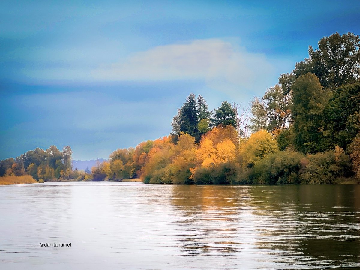 danitahamel's tweet photo. Happy Saturday everyone!🫖☕️😀☔️🌧️
Today’s photo theme is: On Water 🏞️
#OnWater https://t.co/tVKXqoiUsn