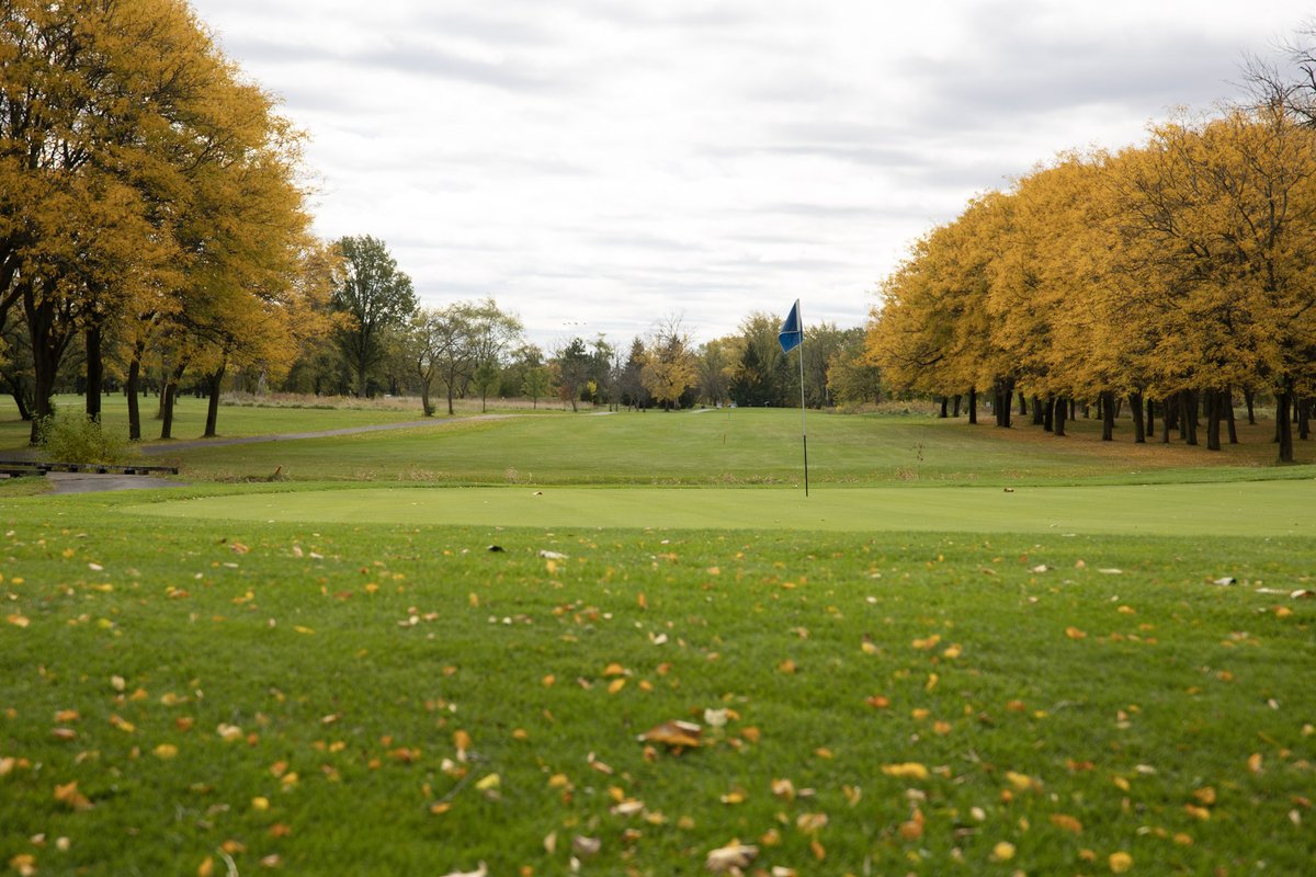 GolfWhitePines's tweet image. Love golf? Tee off at #WhitePines Golf Club and take on 36 championship holes surrounded by stunning autumn views. ⛳ After your round, swing by the 37 Bar &amp;amp; Grill for tasty bites and post-game cheer!  Book a tee time today: whitepinesgolf.com/teetimes #GolfWhitePines #ChicagoGolf