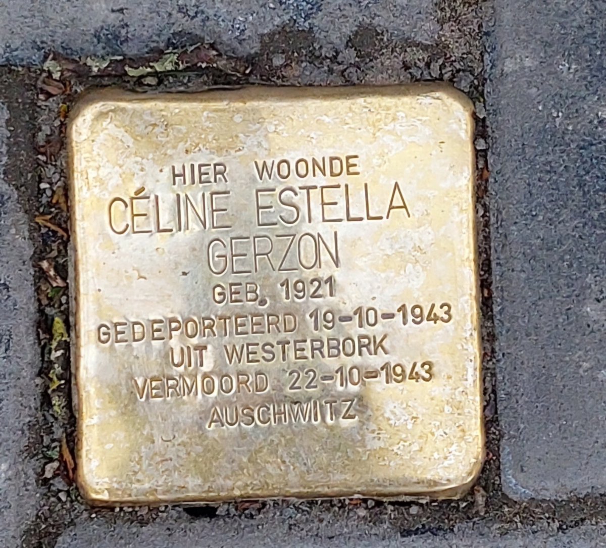 Op 22 oktober 2025 zijn er in Den Haag 18 nieuwe stolpersteine geplaatst. 
joodserfgoeddenhaag.nl/22-oktober-202… 
Lijst van alle stolpersteine in Den Haag:
joodserfgoeddenhaag.nl/stolpersteine-…

Stolperstein voor Céline Estella Gerzon bij Pauwenlaan 79 in Den Haag