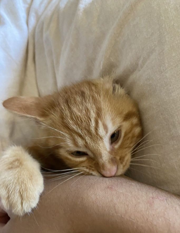 JonathanSims_'s tweet image. Me too, Tangerine, me too.