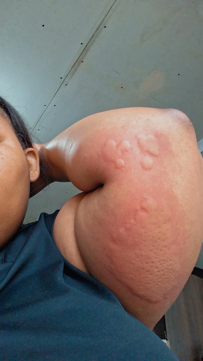 mitchelle_Dube's tweet image. Anything for this 😭😭😭😭been struggling all mylife