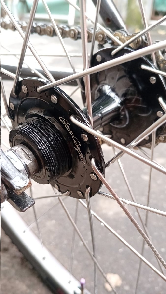 leonomora tweet media