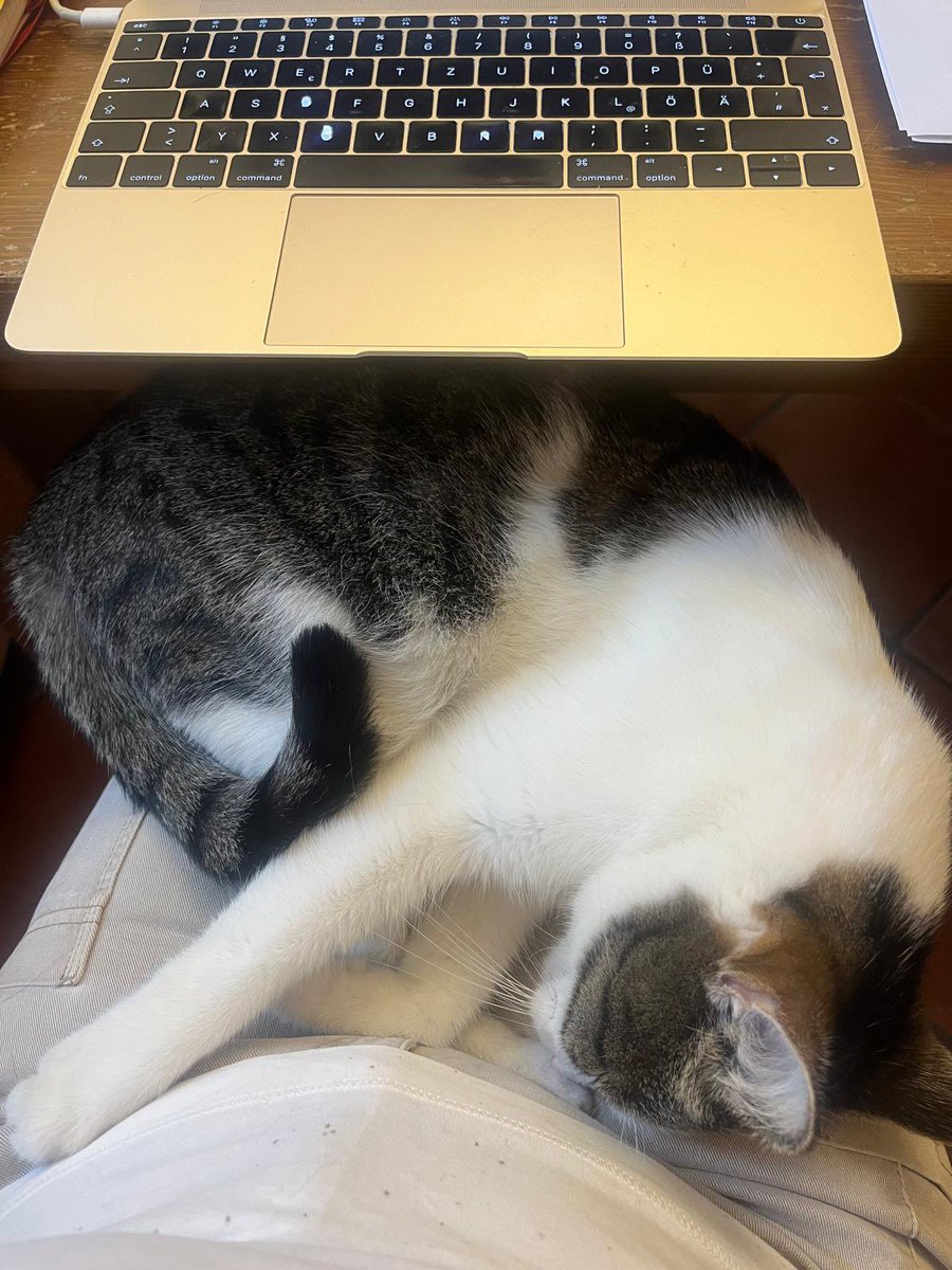 Charlie hat es am liebsten wenn ich Interviews am Telefon mache, wie zum Beispiel heute mit <a href="/IrmgardGriss/">Irmgard Griss</a>, der Leiterin der SOS-Kinderdorf-Untersuchungskommission. Dann sitzt er auf meinem Schoß und schnurrt. Das Interview lest ihr morgen morgen in der #Krone und auf <a href="/krone_at/">Kronen Zeitung</a>