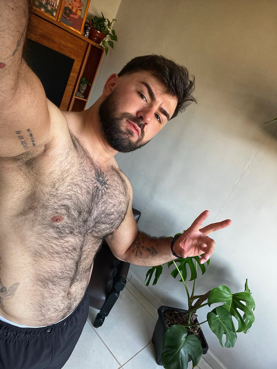 Luccas Martins tweet media