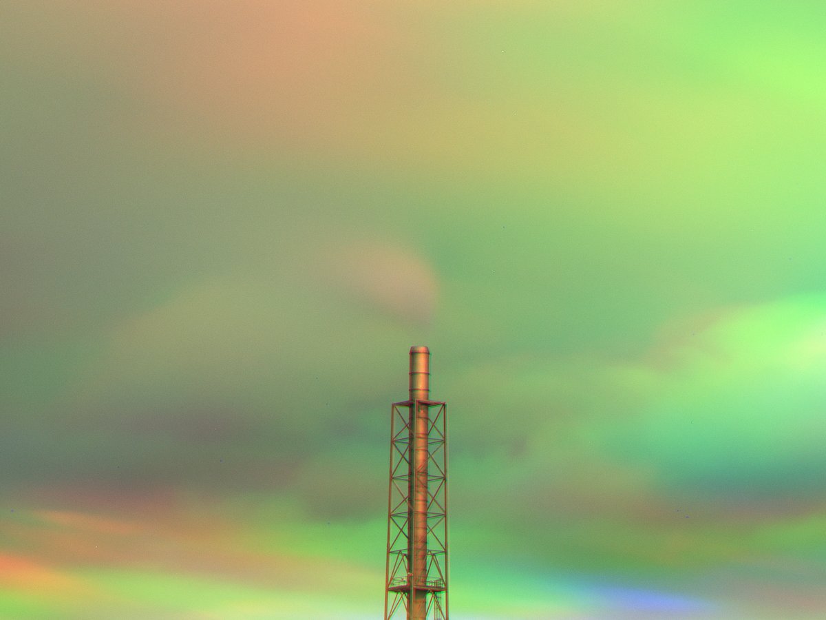 Alon Koppel 📷 tweet media