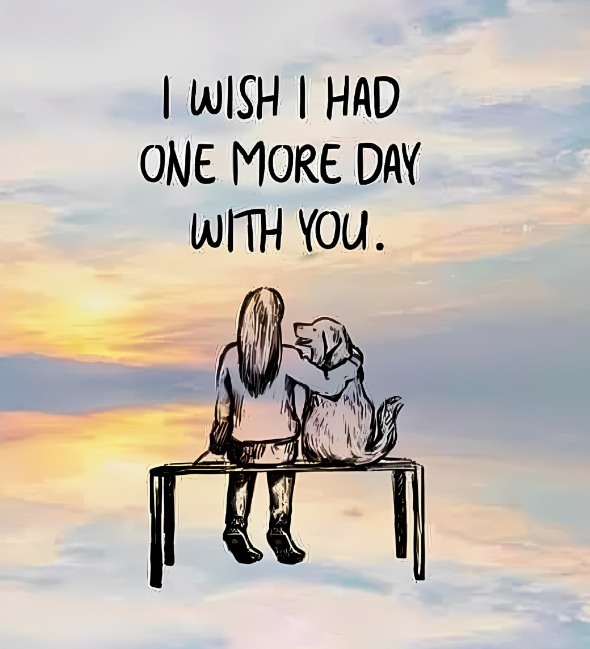 DogLovers03's tweet image. 