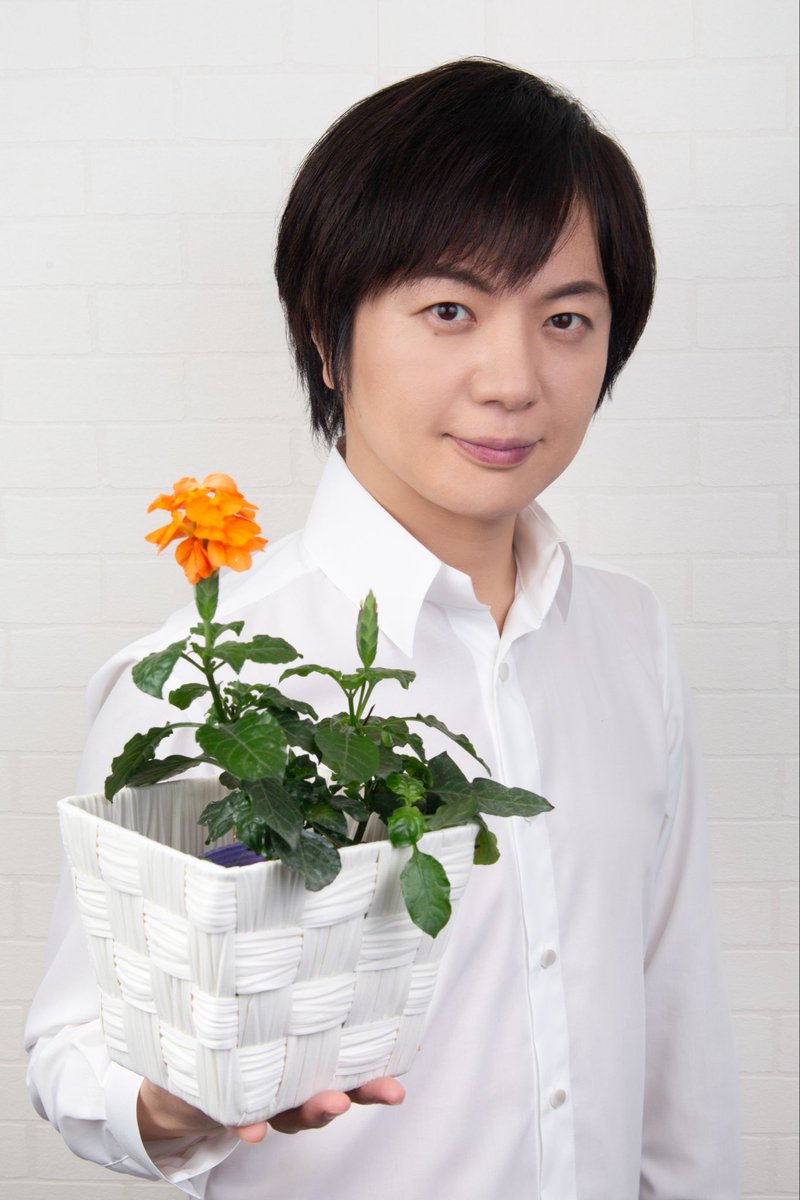 クロサンドラ・かがり火