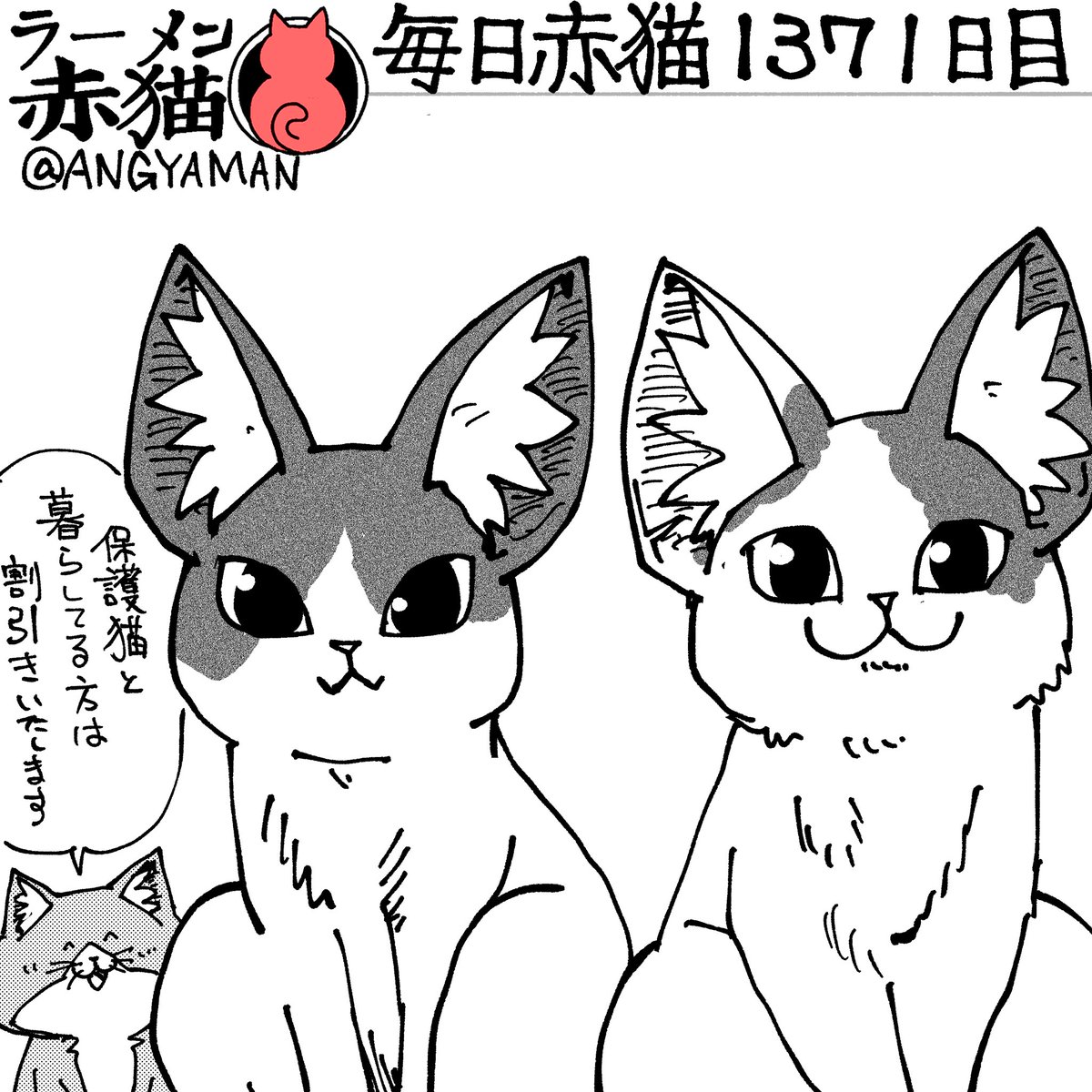 ジャンプラ ラーメン赤猫　佐々木 365