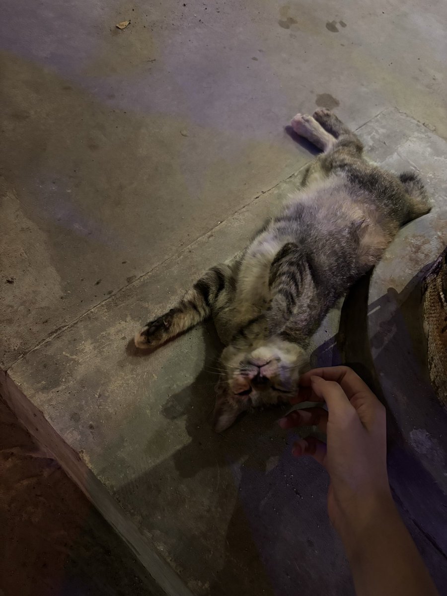 ؘ (@iyyecity) on Twitter photo 