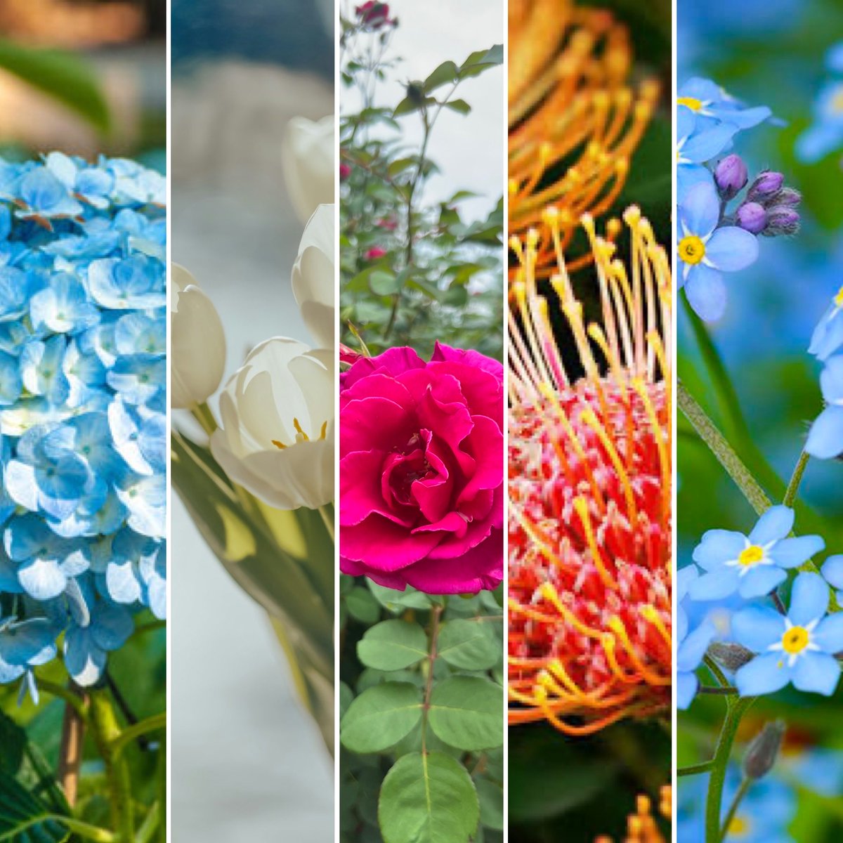 Dani Donovan 👩🏻‍🎨 ADHD Comics tweet media