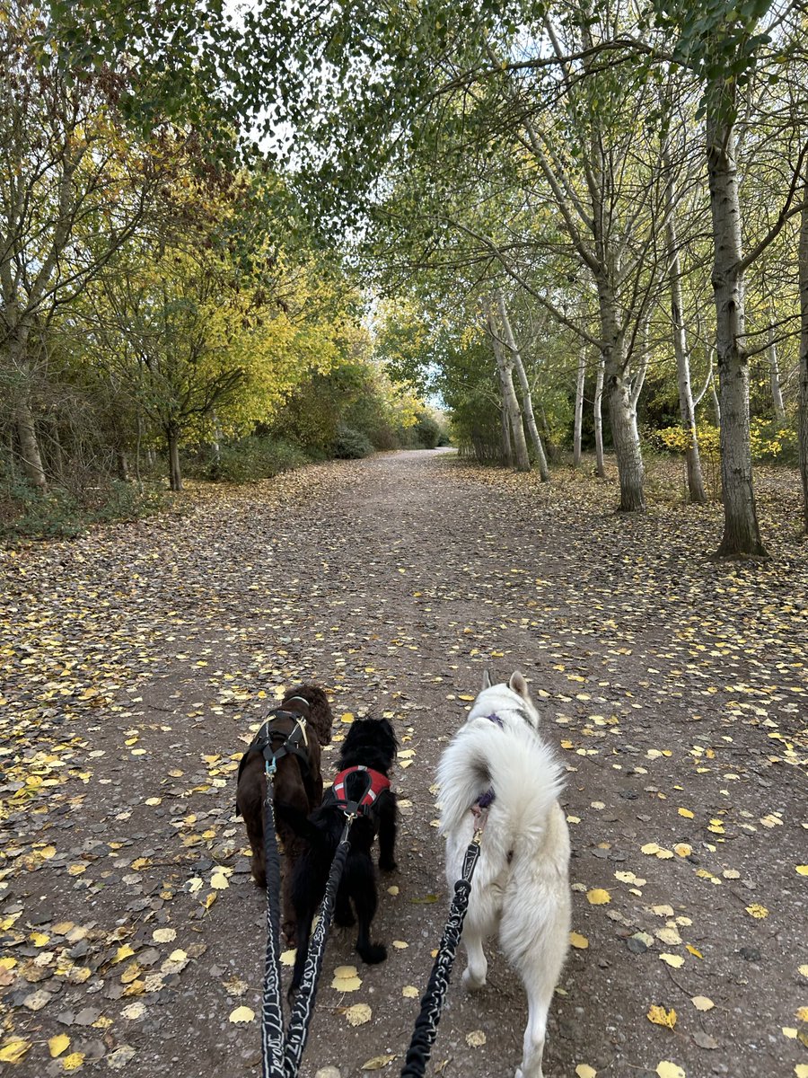 Maxine Howells tweet media