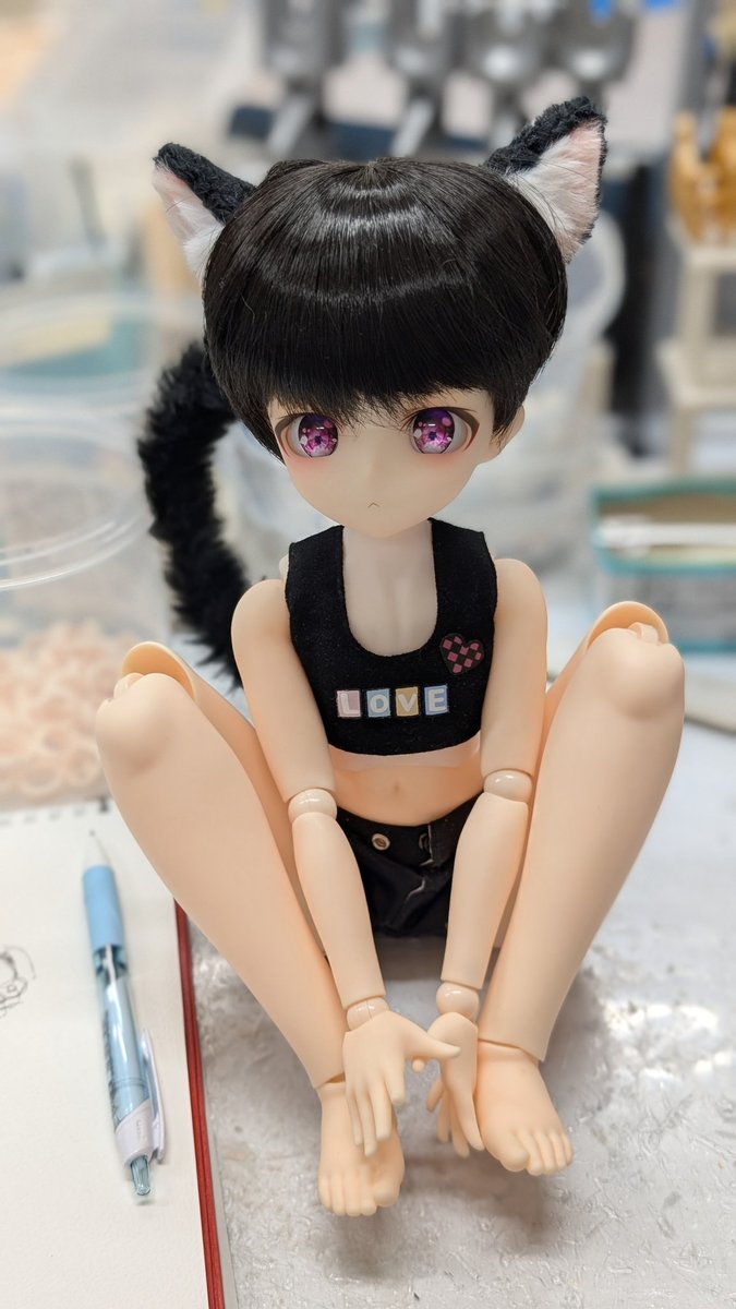 短足ぽってり♡オッドアイ子猫ちゃん♡アートドール♡ぬいぐるみ♡ あさちゃんち(受注作業中) on X