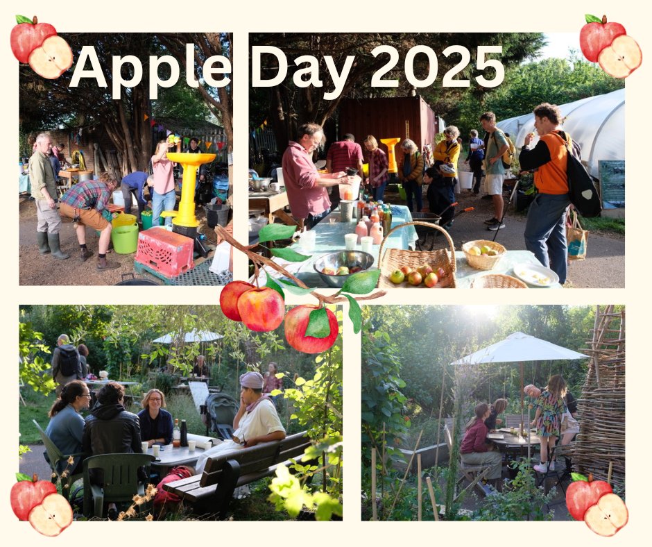 Tree Musketeers tweet media