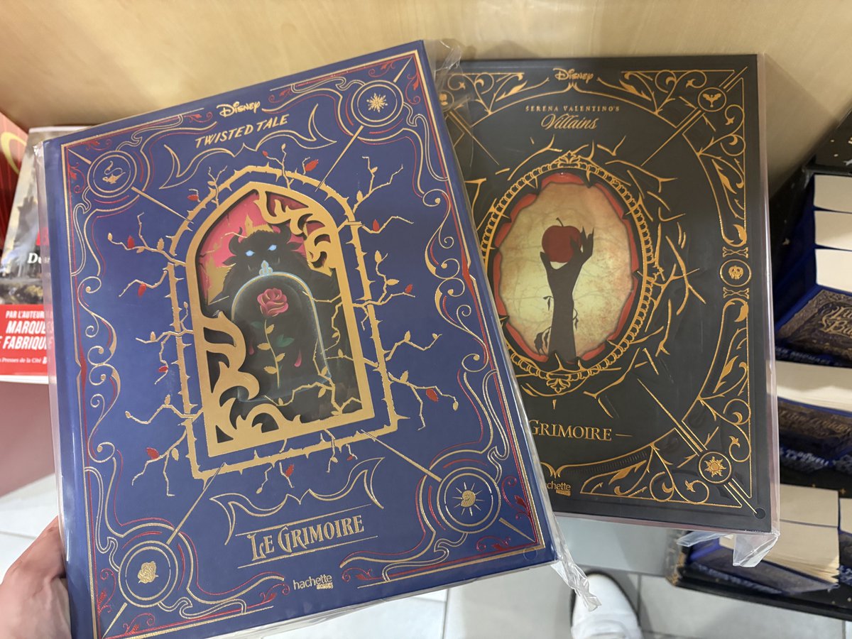 PampaPoulpe's tweet image. Je suis tombée amoureuse en me promenant au centre culturel… 🥲 

Inévitablement, c’est dans mon top achat pour 2026 si c’est encore dispo à ce moment là. La beauté ! 😍

#Disney #beaulivre #bookdesign #book #villains #omg #livres #Hachette #LeGrimoire #disneyvillains
