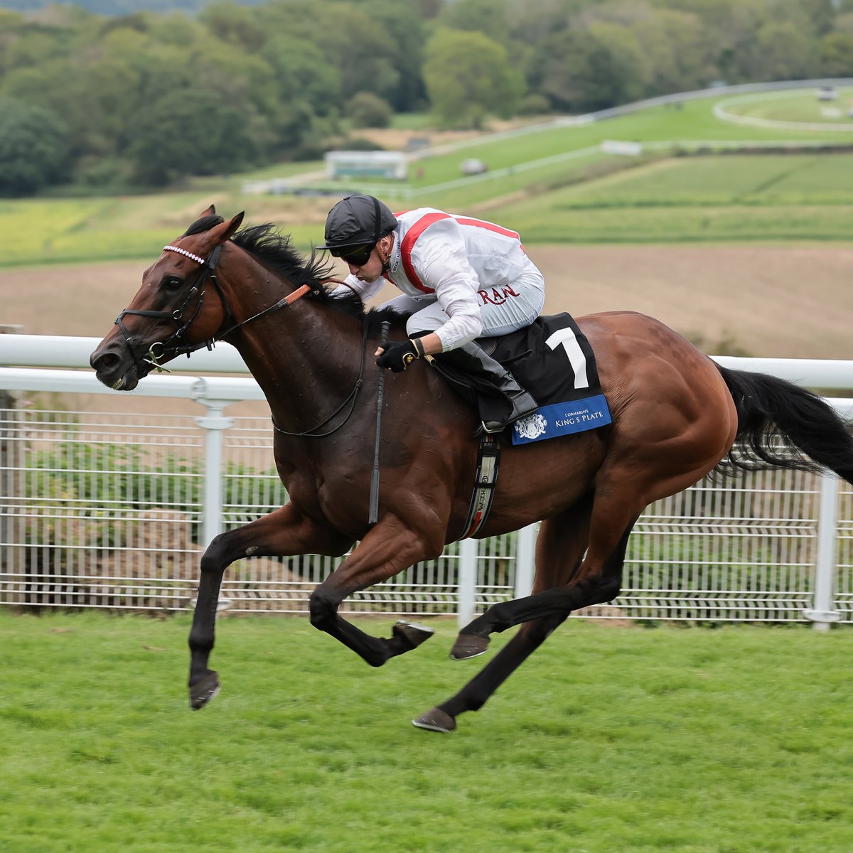 RacingPost's tweet photo. HAMISH wins the Group 3 St Simon Stakes at Newbury 🎉 https://t.co/jgvHukJZ0M
