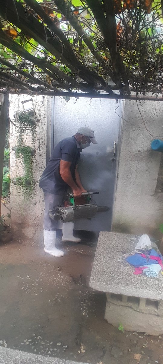 DPolanco3520's tweet photo. Sin tiempo q perder en la batalla contra el mosquito ......al combate y sin pausa. https://t.co/gB9UNnxolw