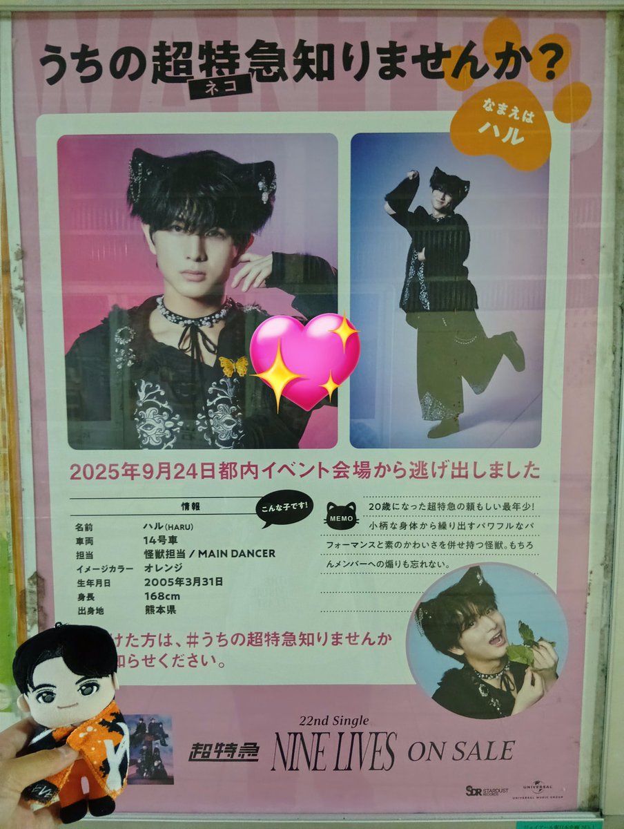 haruさま確認ページ♡ うさまる on X