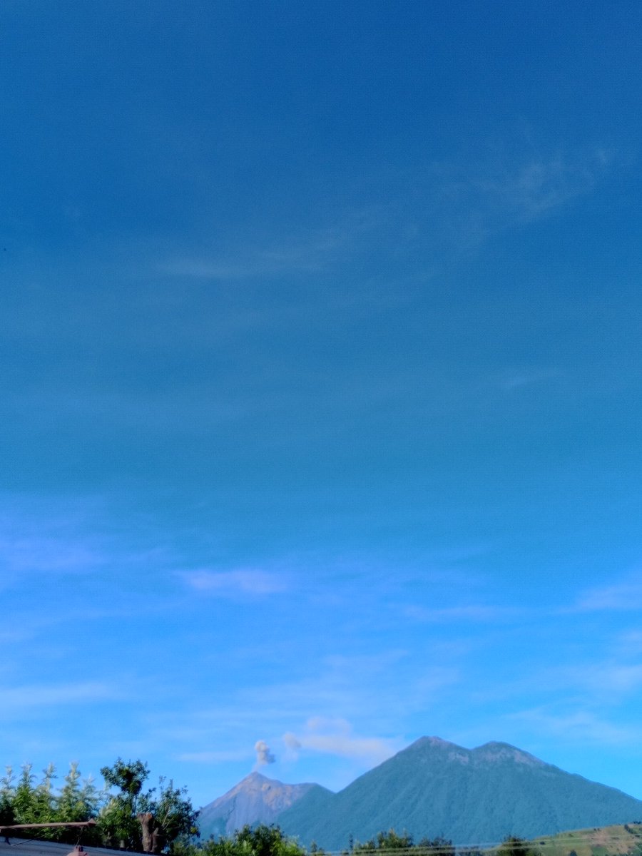 Hay sol pero hay frío, medio hay salud pero el clima está perfecto ☕