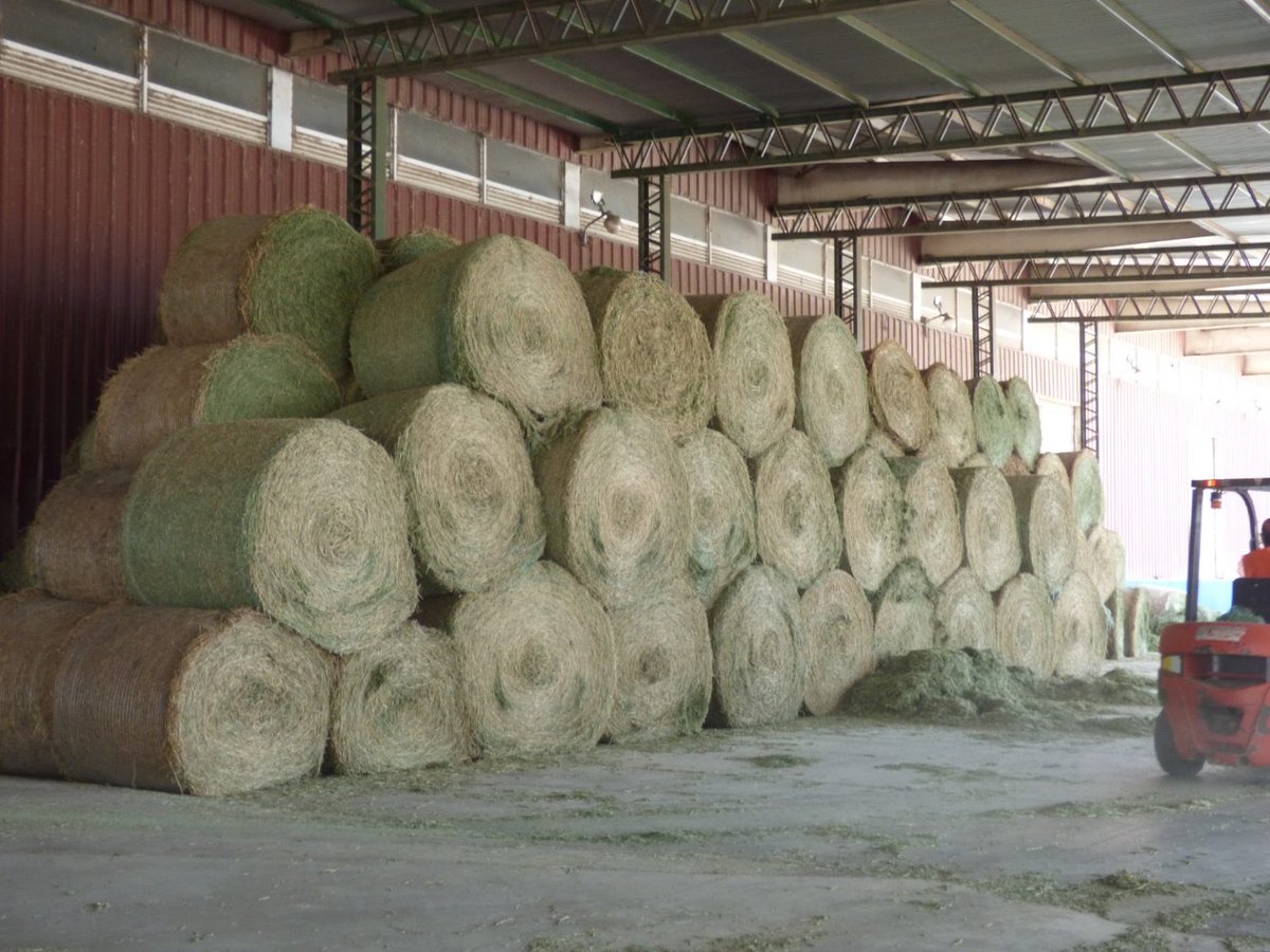 Logistica_SL's tweet photo. La Secretaría de Actividades Logísticas, a través de AgroZAL, firmó un convenio con FF Agro y Pampa Blanca para fortalecer la producción de alfalfa y posicionar a San Luis como polo agropecuario nacional. 🌾
Participaron Luis Pestchanker, Federico Gadea y Pablo Echavarri. https://t.co/STp4jHraVM