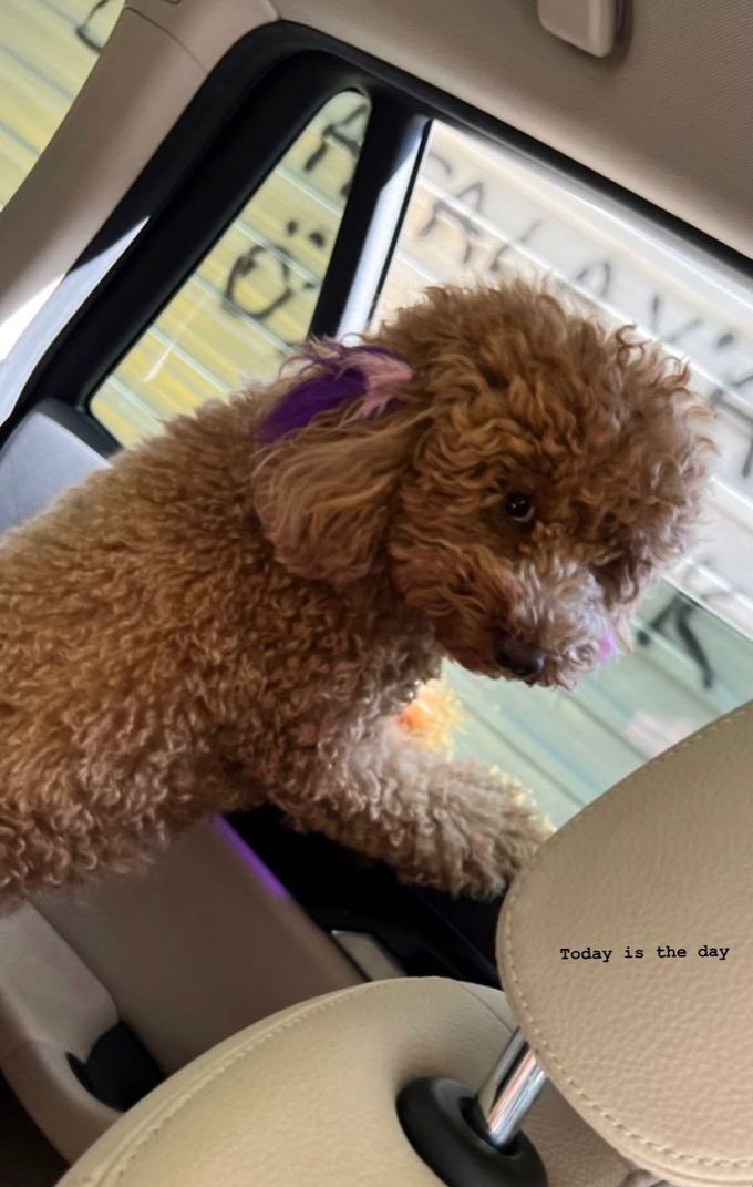 Bu günde çok güzelim be