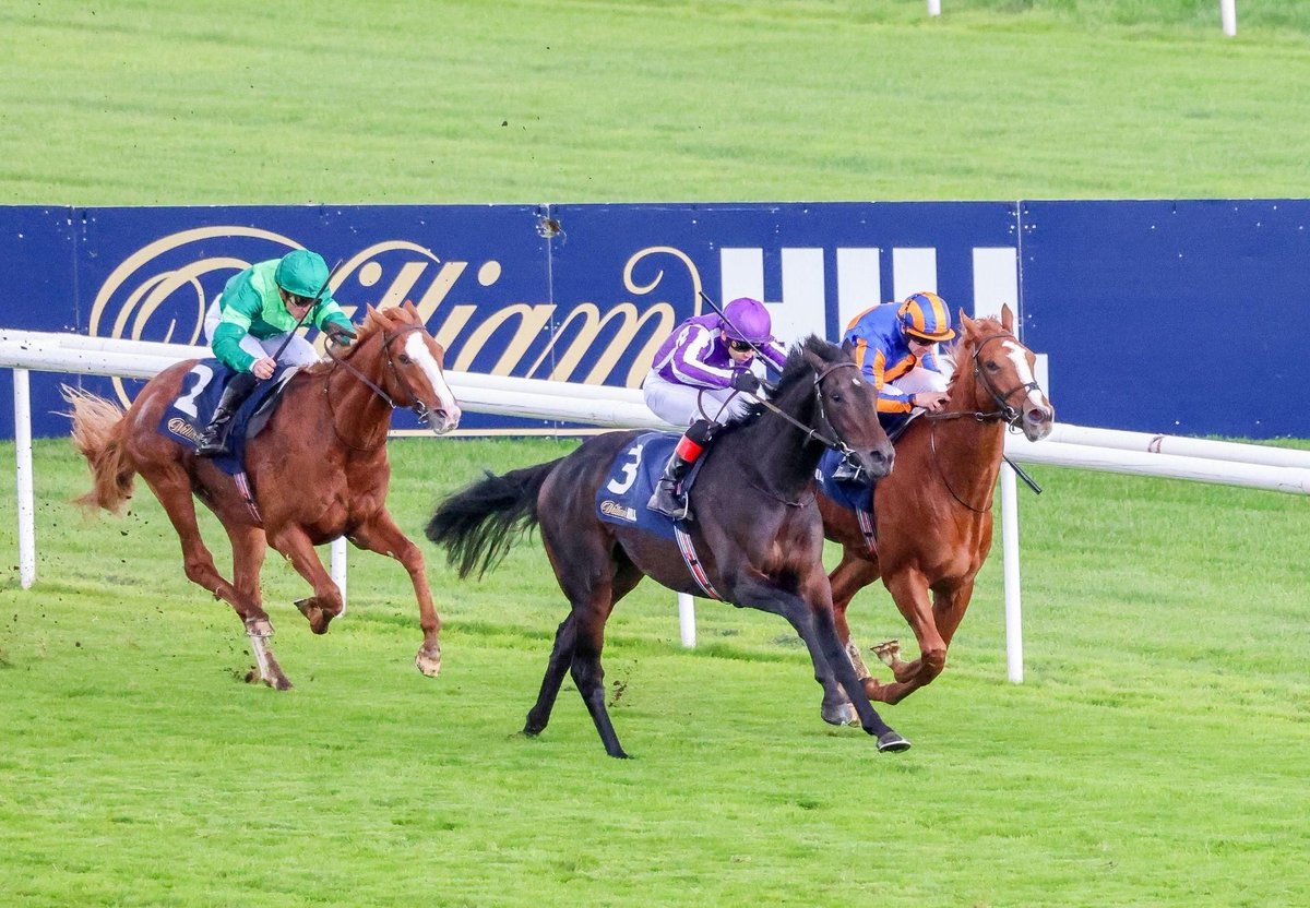 Ballydoyle Racing tweet media