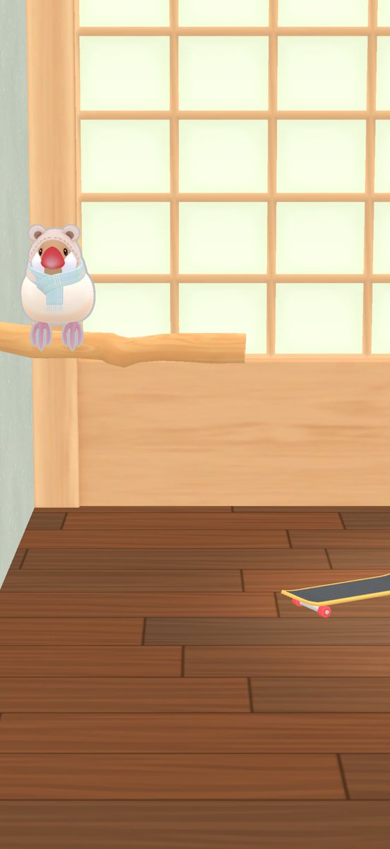MaxD_J_'s tweet photo. Nutmeg 0 years and 0 months and 1 days
Today’s favorite moment📷🍀
#happybuncholife #javasparrow #buncho #cutebird https://t.co/XAUA95xo8L