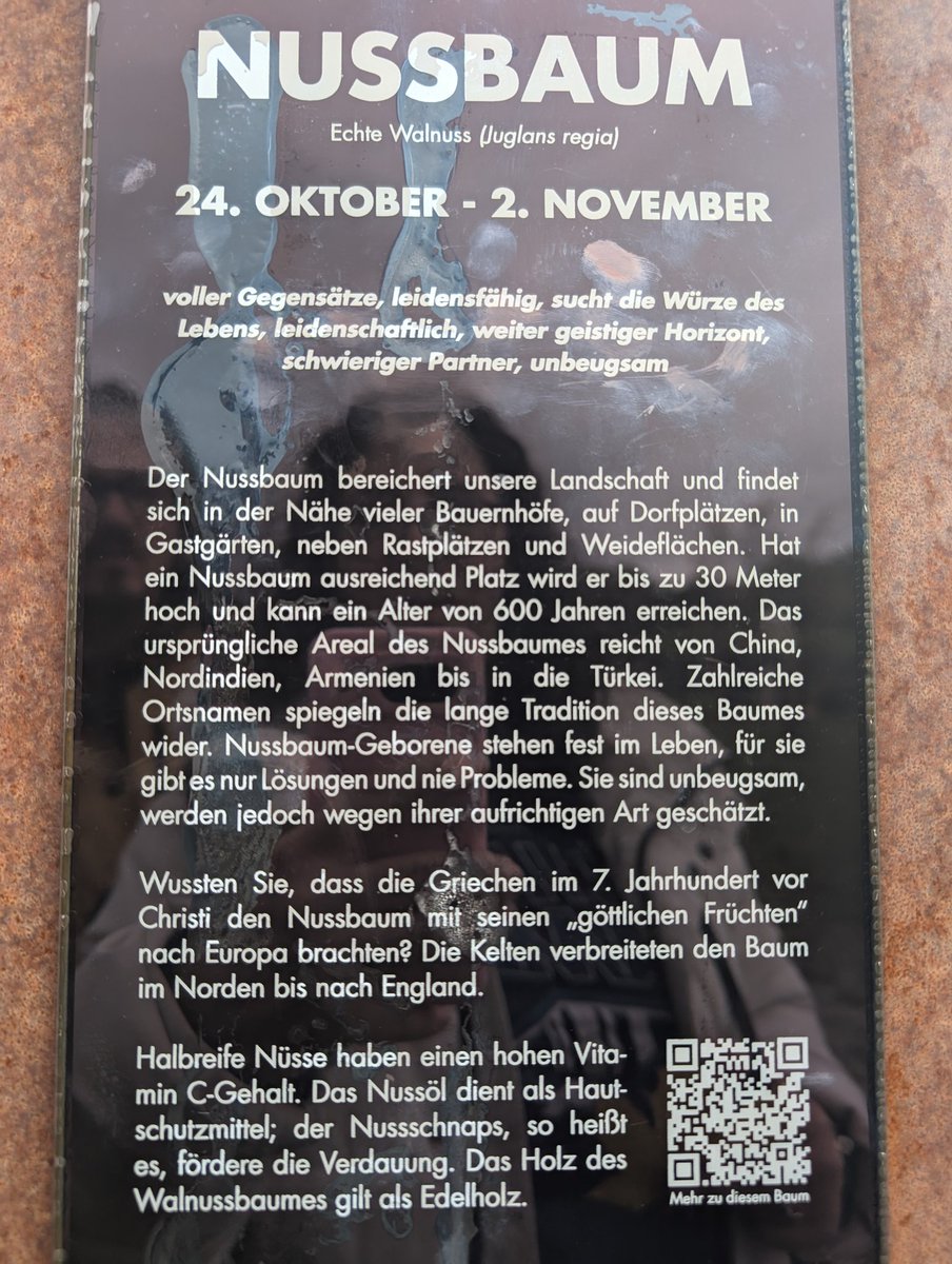 Der #Nussbaum am Himmel 

himmel.at/nussbaum-2/