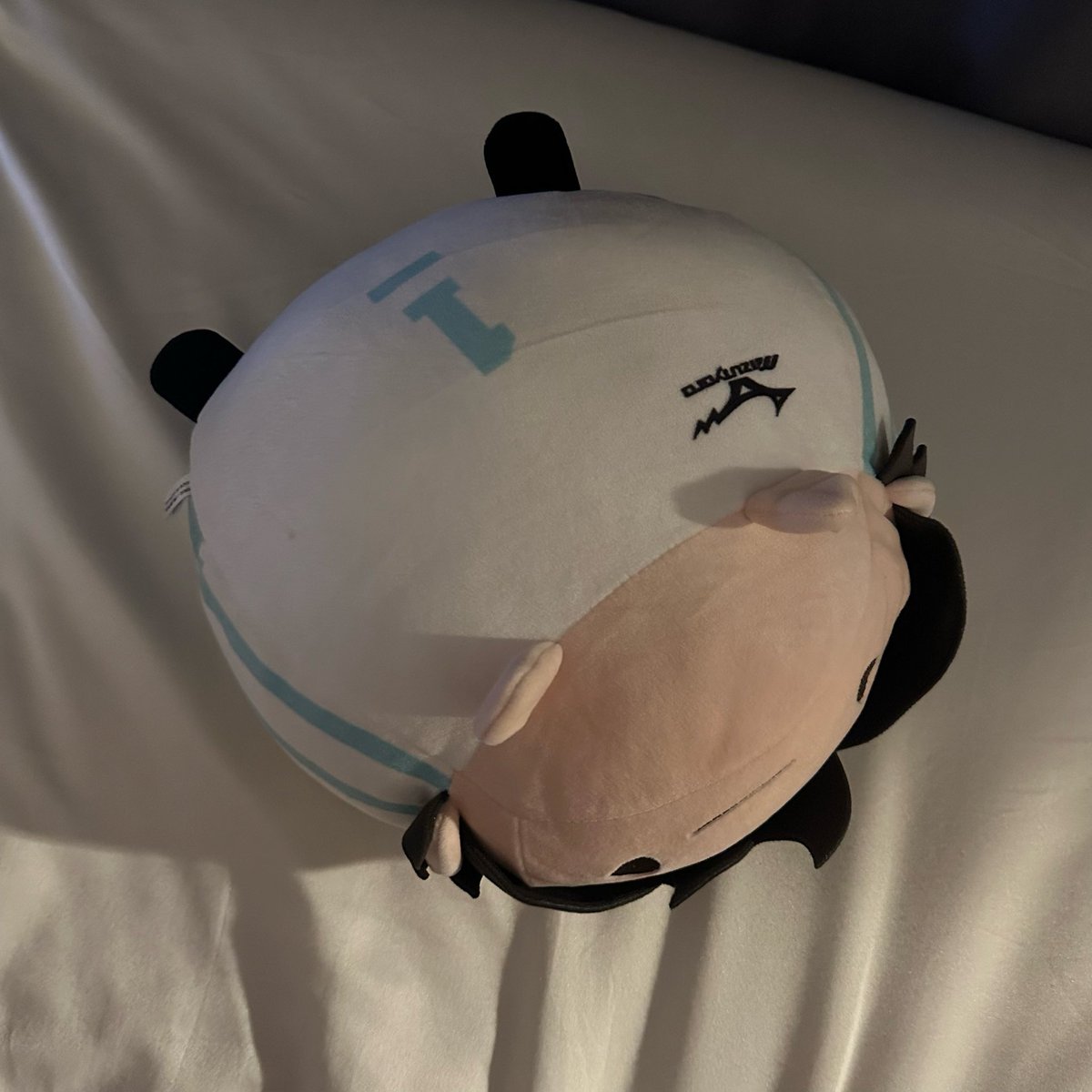 daiisypy's tweet image. อึ่งมาก