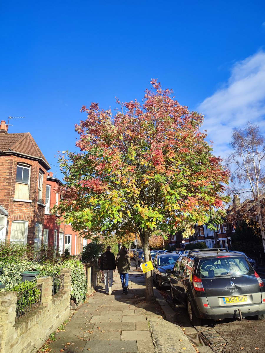 ✨Claire-a-bella✨ tweet media