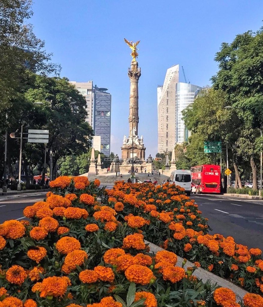 JournalNewsMX's tweet photo. A partir del día de hoy ¡disfruta el #FinDeSemana! y acude a visitar la #MegaOfrenda monumental en el #ZocaloCapitalino, una de las actividades culturales para disfrutar el #FinDeSemana: https://t.co/WHFJq0FTdb https://t.co/diYt2PnIQQ
