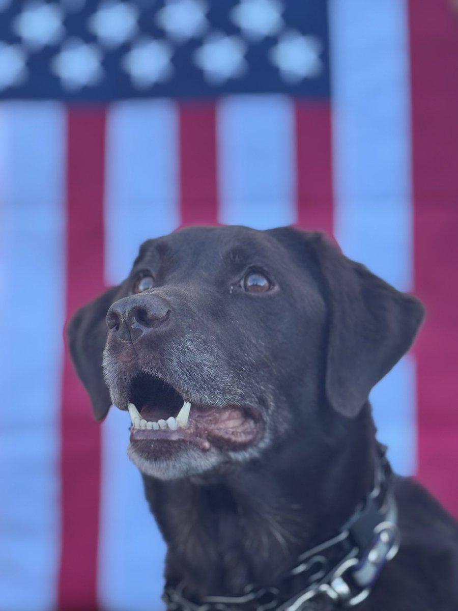 David Sullivan tweet media