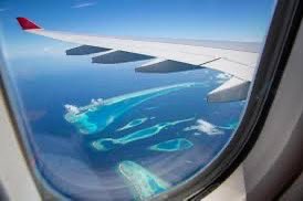 Focuspuntadeleste tweet media