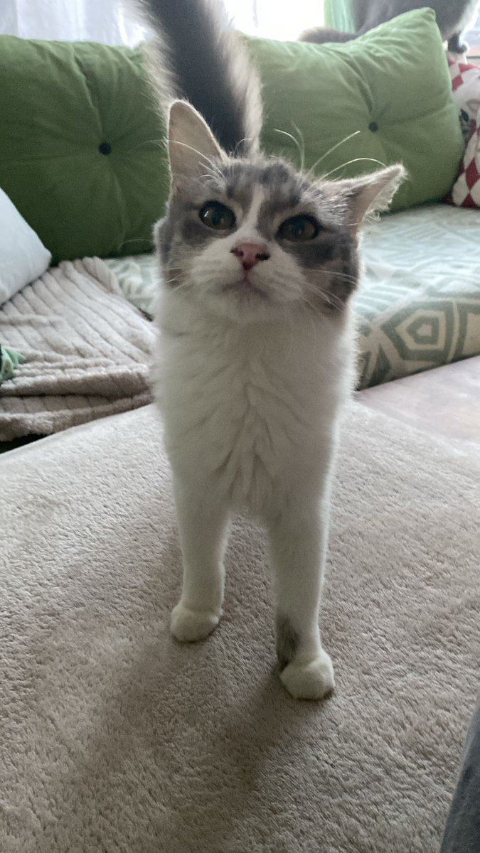 Ailemi bulana kadar sümüklü kalcam tmm???