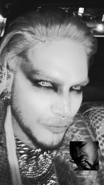 Angel_nDisguise's tweet image. New @adamlambert stories of his early Halloween costume last night 🎃