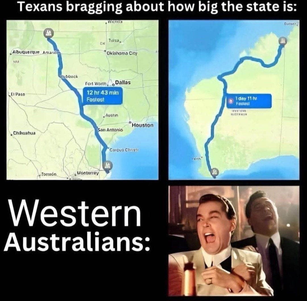 Awesomeshocker1's tweet image. 