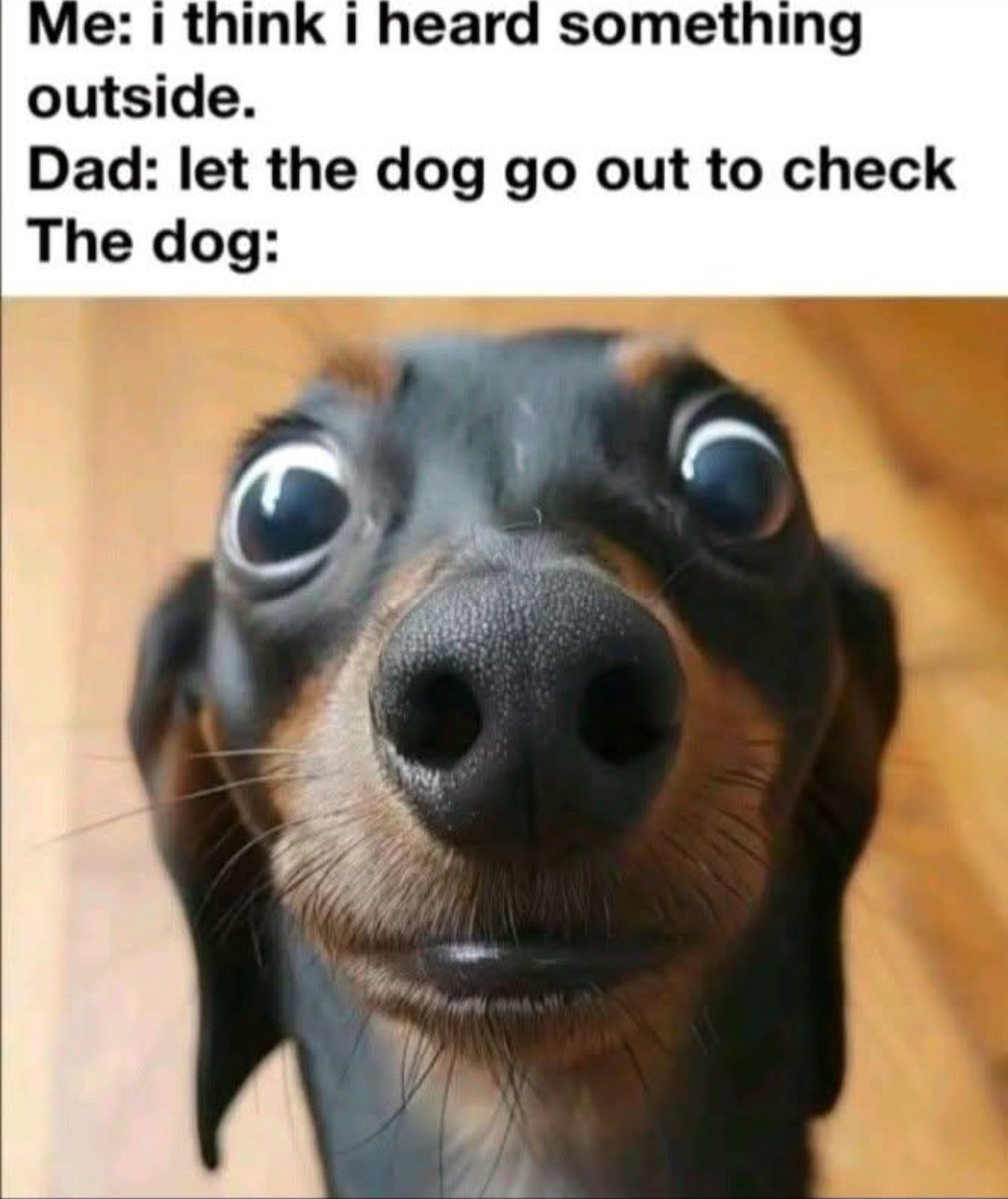 Awesomeshocker1's tweet image. 