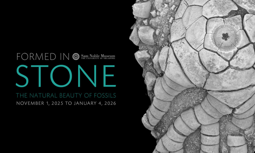 Sam Noble Museum tweet media